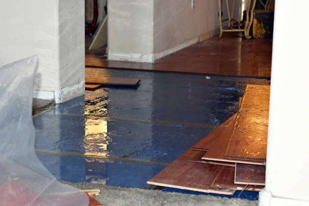 Professional Water Extraction technician working in Stockton, IL